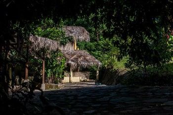 Jurassic Park Hotel Las Terrenas Buitenkant foto